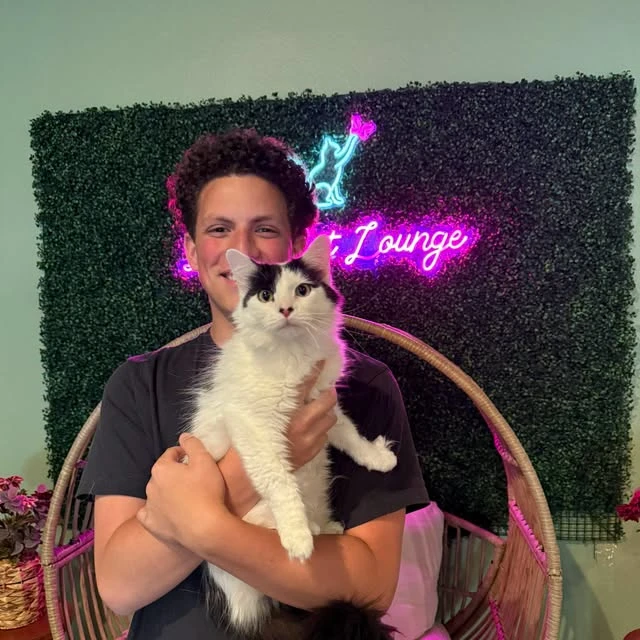 という名前の猫の写真で、 Pearl から引き取られました Black Cat Lounge & Adoption Center