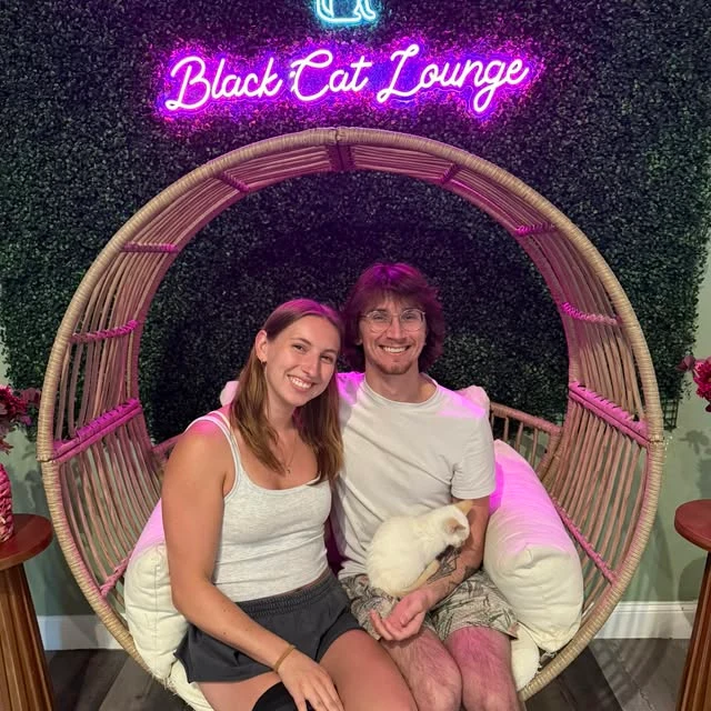 という名前の猫の写真で、 Trouble から引き取られました Black Cat Lounge & Adoption Center