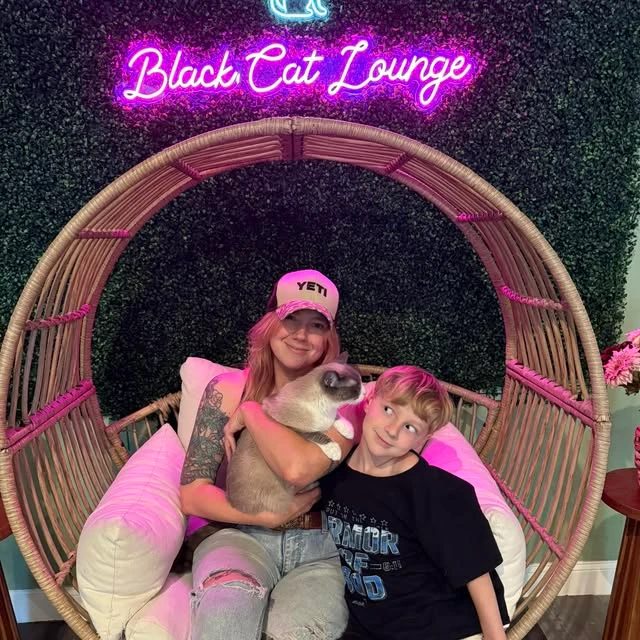 という名前の猫の写真で、 Alice から引き取られました Black Cat Lounge & Adoption Center