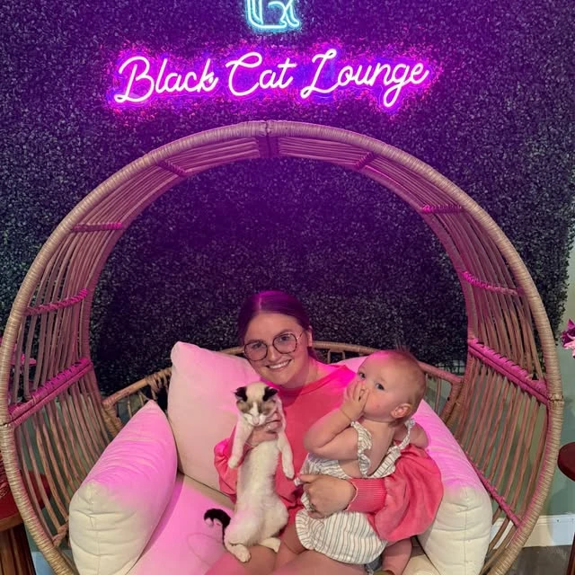 という名前の猫の写真で、 Marty から引き取られました Black Cat Lounge & Adoption Center