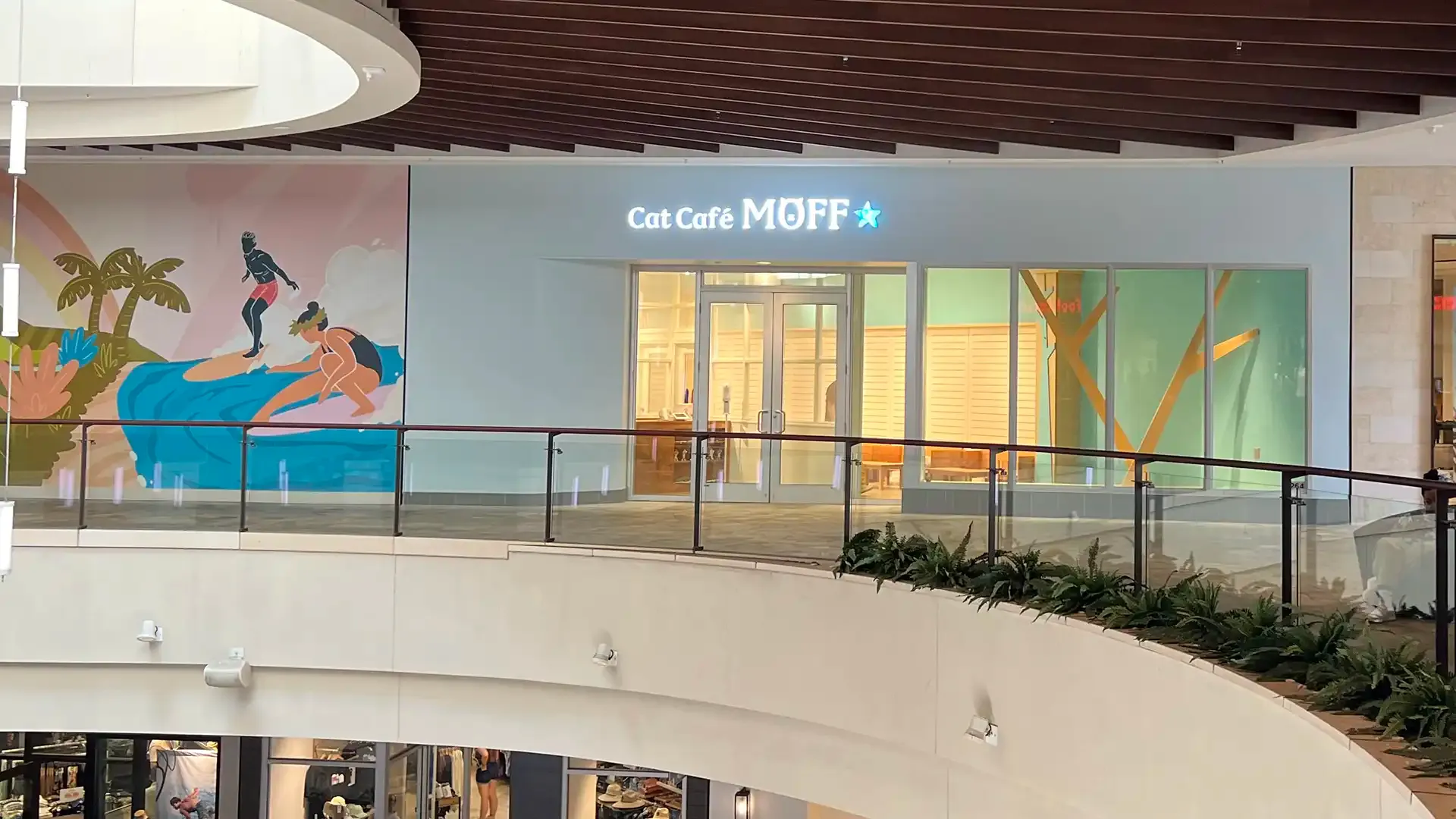リスティング用に提出されたCat Café MOFF International Market Place猫カフェの写真