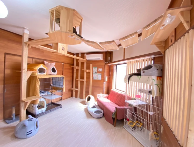 リスティング用に提出されたCat Space猫カフェの写真