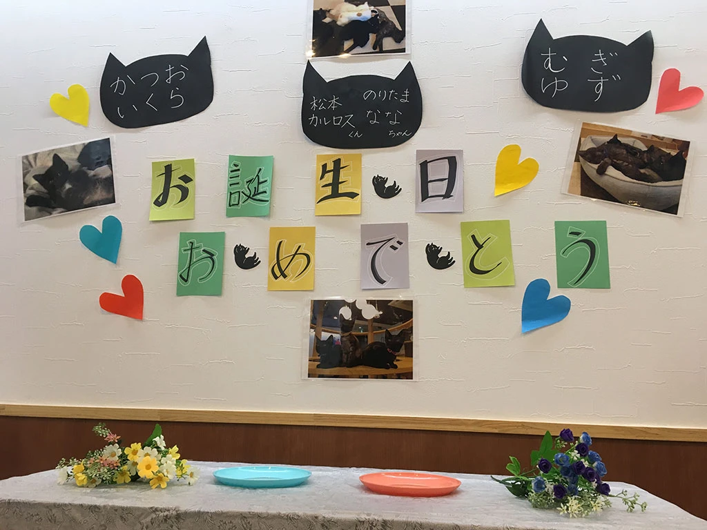 リスティング用に提出されたCat Cafe Cota猫カフェの写真