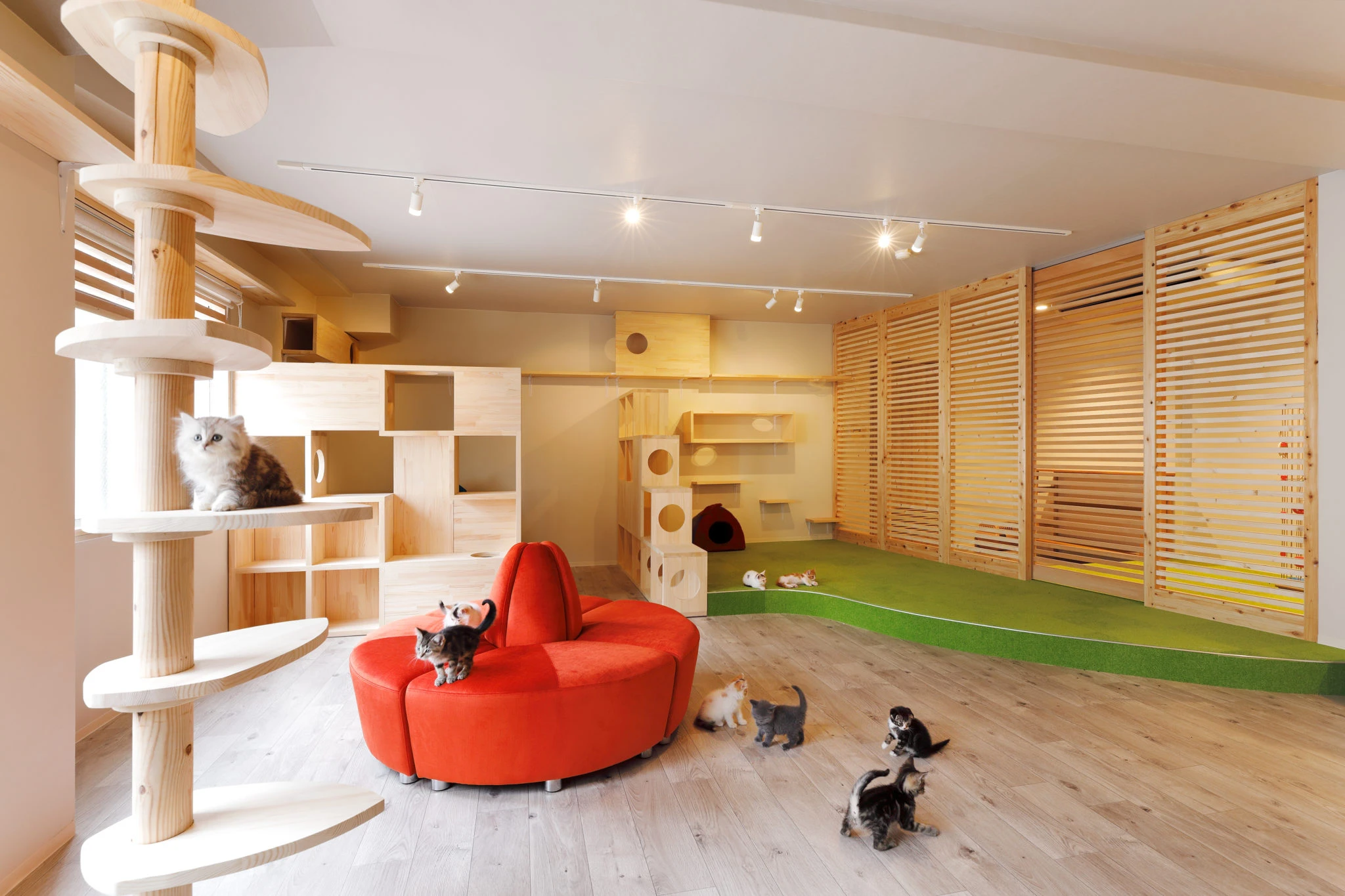 リスティング用に提出されたCat Cafe Nearnya猫カフェの写真