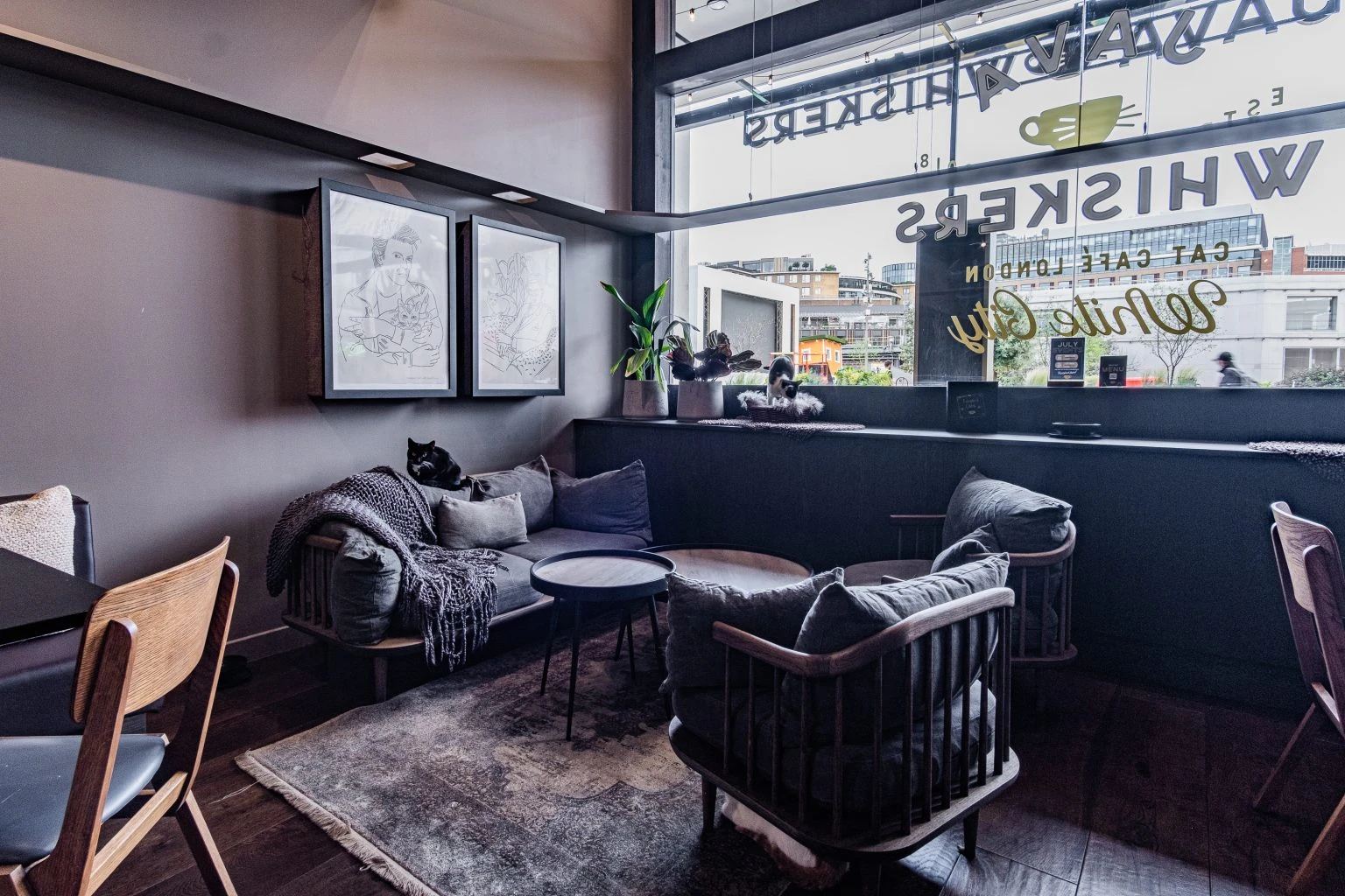 リスティング用に提出されたJava Whiskers Cat Café White City猫カフェの写真