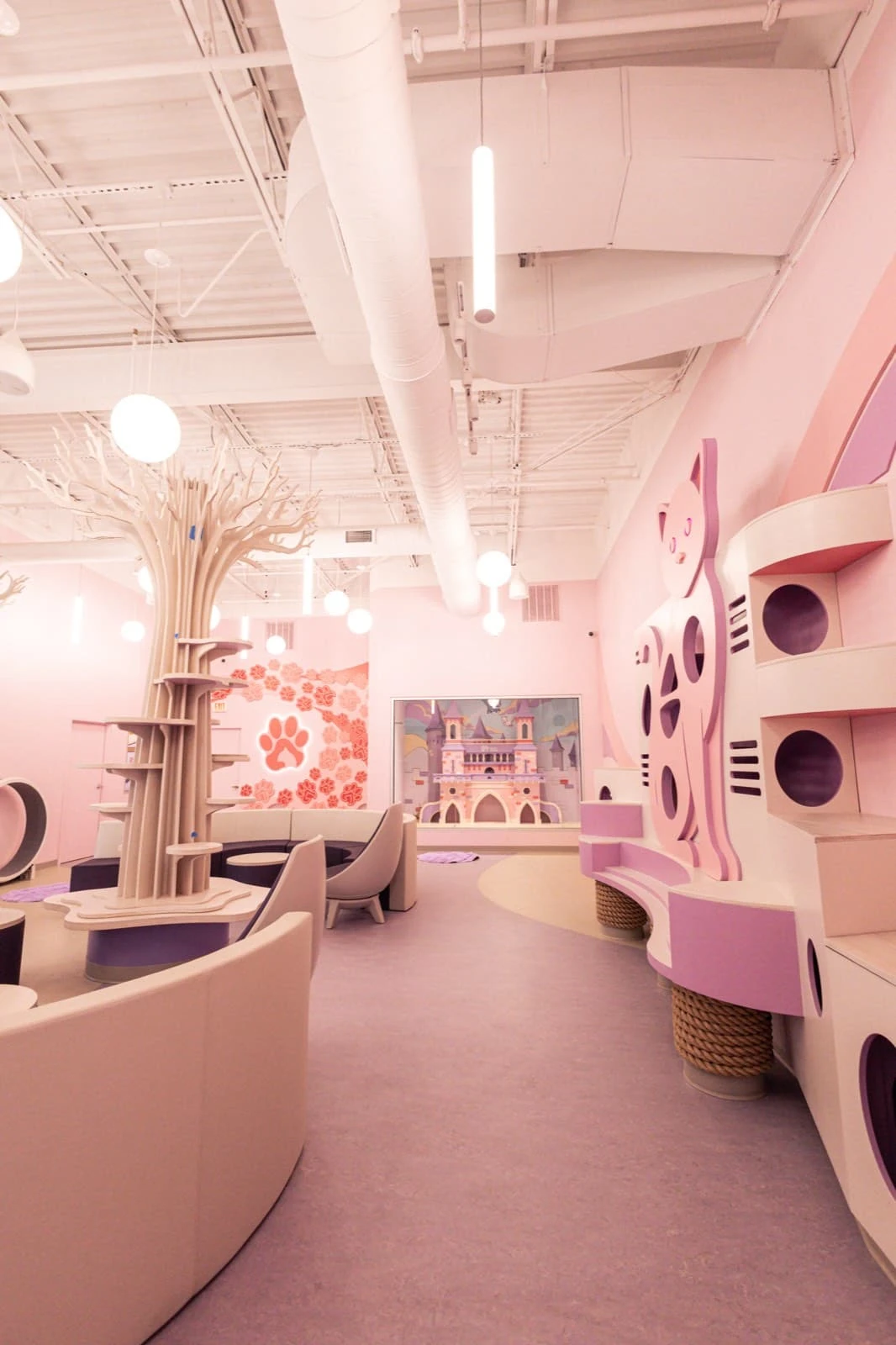 リスティング用に提出されたPink Paws Cat Cafe猫カフェの写真