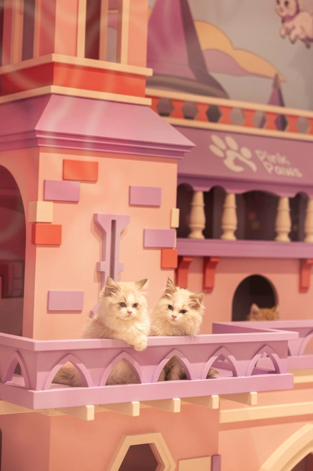 リスティング用に提出されたPink Paws Cat Cafe猫カフェの写真