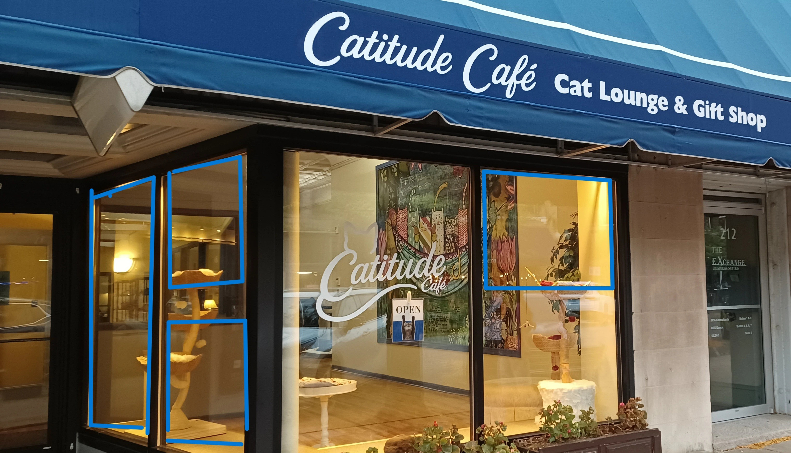 Photo of a cat cafe called Catitude Cafe submitted for their listing