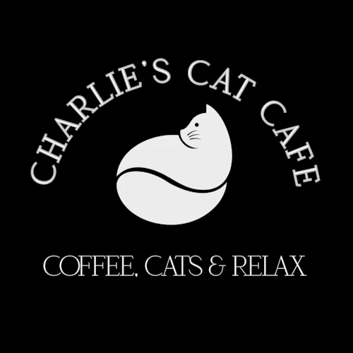 リスティング用に提出されたCharlies Cat Cafe猫カフェの写真