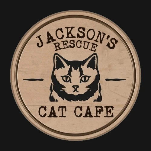 リスティング用に提出されたJackson's Rescue Cat Cafe猫カフェの写真