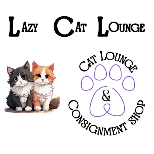 Photo of a cat cafe called Lazy Cat Lounge submitted for their listing