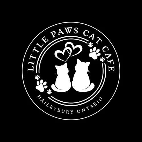 Photo of a cat cafe called Little Paws Cat Cafe submitted for their listing