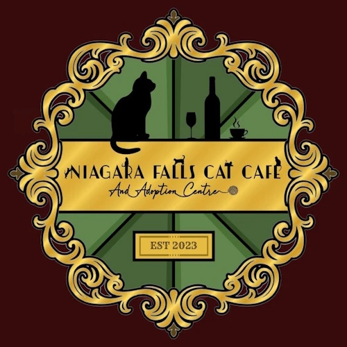 Photo of a cat cafe called Niagara Falls Cat Cafe submitted for their listing