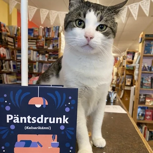 Photo of a cat cafe called Otis & Clementine’s Books submitted for their listing