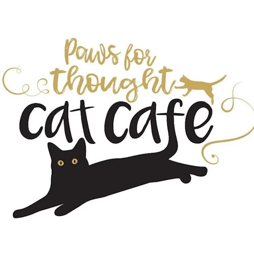 リスティング用に提出されたPaws For Thought Cat Cafe猫カフェの写真