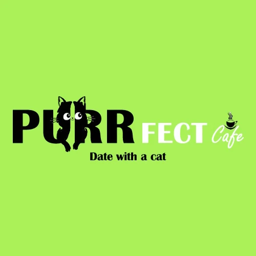 リスティング用に提出されたPurrfect Cafe猫カフェの写真
