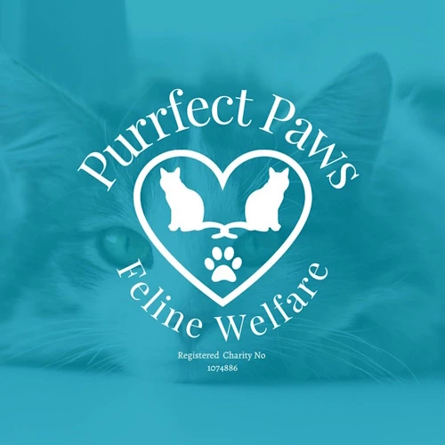 Photo of a cat cafe called Purrfect Paws Feline Welfare submitted for their listing