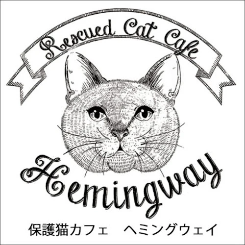 Photo of a cat cafe called Rescued Cat Cafe Hemingway submitted for their listing