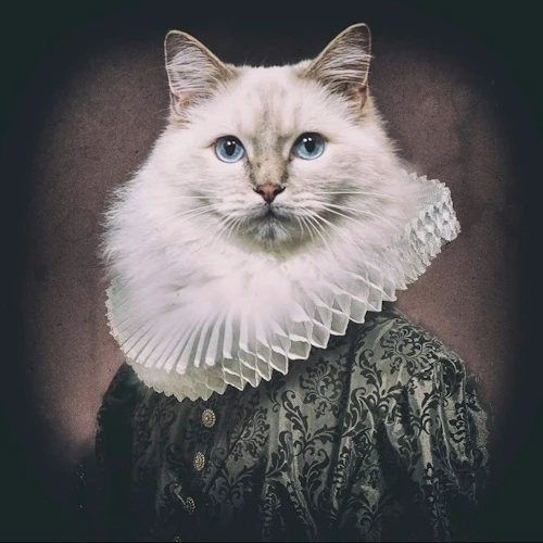 リスティング用に提出されたShakespaw Cat Cafe猫カフェの写真