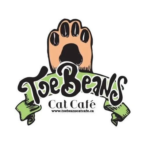 Photo of a cat cafe called Toe Beans Cat Cafe submitted for their listing