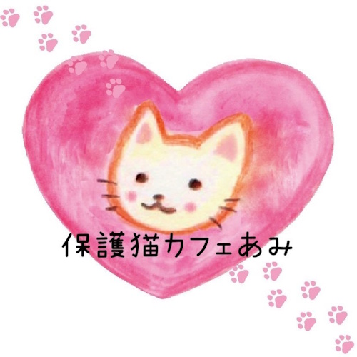 リスティング用に提出されたAmi Rescue Cat Cafe猫カフェの写真