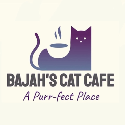 Photo of a cat cafe called Bajah's Cat Cafe submitted for their listing
