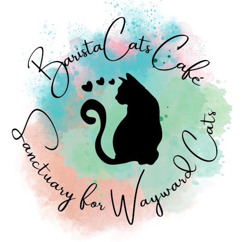 Photo of a cat cafe called BaristaCats Café & Sanctuary for Wayward Cats submitted for their listing