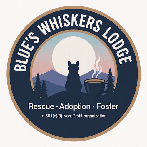 リスティング用に提出されたBlue's Whiskers Lodge猫カフェの写真
