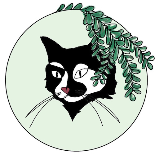 リスティング用に提出されたBotany Cats猫カフェの写真