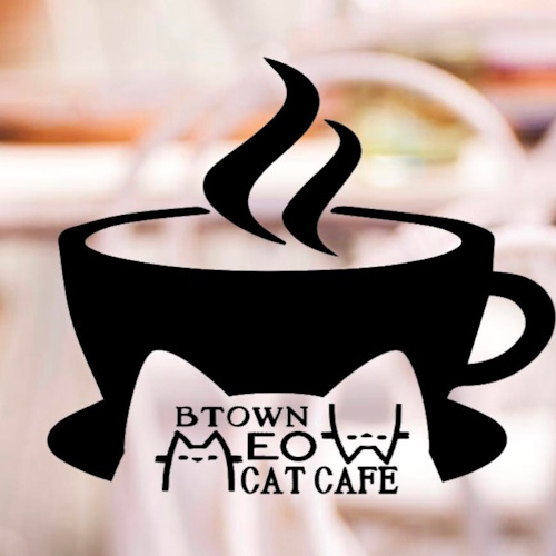 Photo of a cat cafe called Btown Meow Cat Cafe submitted for their listing