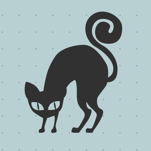 リスティング用に提出されたCafe Calico猫カフェの写真