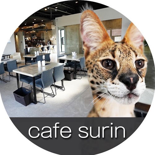 リスティング用に提出されたCafe Surin猫カフェの写真