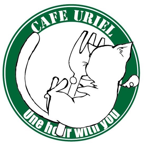 リスティング用に提出されたCafe Uriel猫カフェの写真