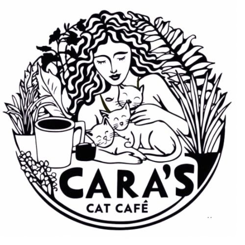 リスティング用に提出されたCara's Cat Cafe猫カフェの写真