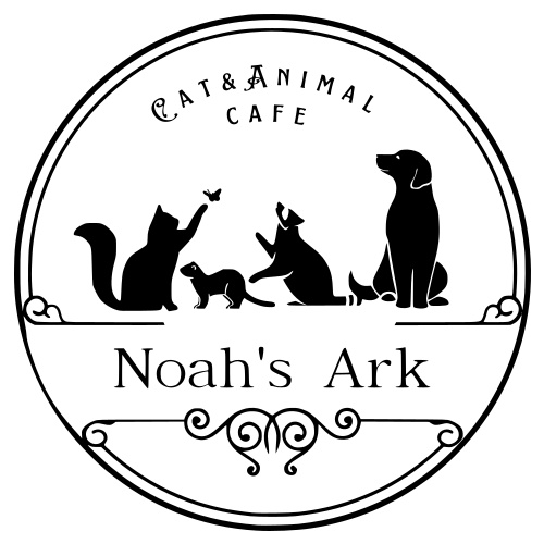 リスティング用に提出されたCat & Animal Cafe Noah's Ark猫カフェの写真