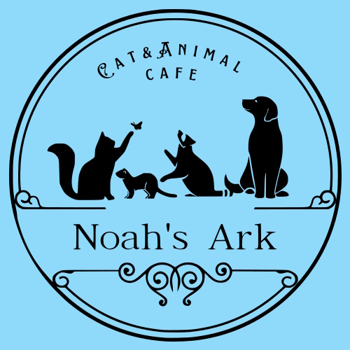 リスティング用に提出されたCat & Animal Cafe Noah's Ark Kyoto Aquarium猫カフェの写真
