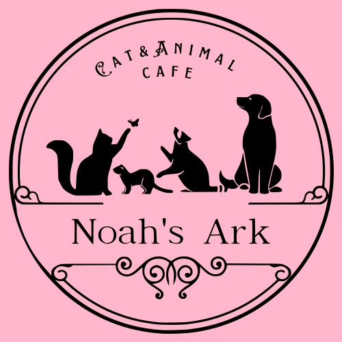 リスティング用に提出されたCat & Animal Cafe Noah's Ark Tenjinbashi猫カフェの写真