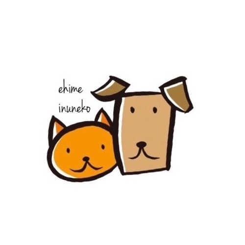 リスティング用に提出されたCat Cafe Himeneko猫カフェの写真