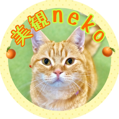 リスティング用に提出されたCat Cafe Mikan Neko猫カフェの写真