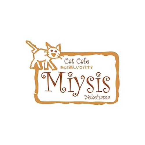 リスティング用に提出されたCat Cafe Miysis猫カフェの写真