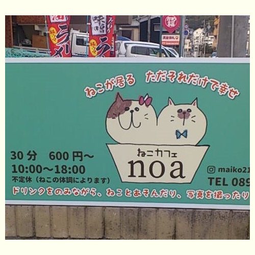 リスティング用に提出されたCat Cafe noa猫カフェの写真