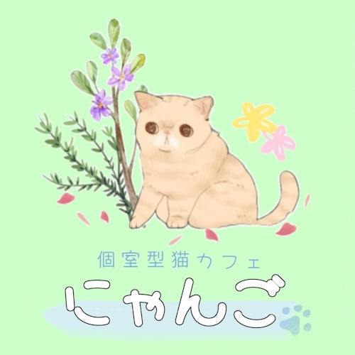 リスティング用に提出されたCat Cafe Nyango Hiratsuka猫カフェの写真
