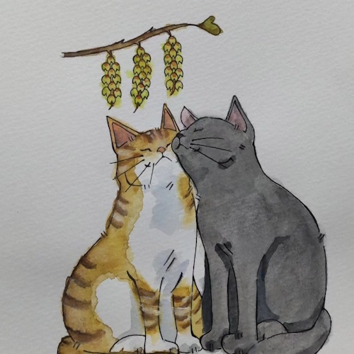 リスティング用に提出されたCat Cafe Nyanko To猫カフェの写真