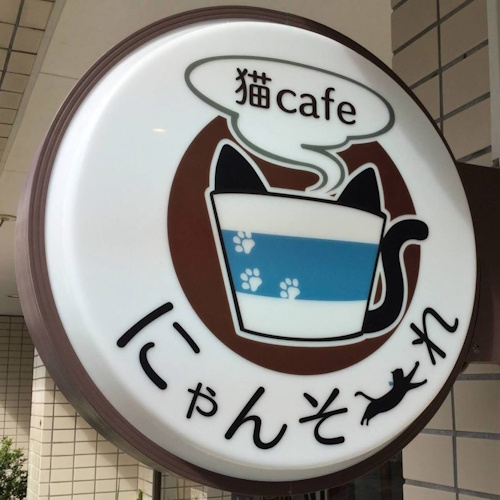リスティング用に提出されたCat Cafe Nyansore猫カフェの写真