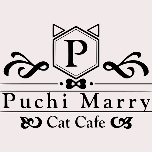 リスティング用に提出されたCat Cafe Puchi Marry AEON MALL Kahoku猫カフェの写真