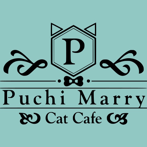 リスティング用に提出されたCat Cafe Puchi Marry AEON MALL Takaoka猫カフェの写真