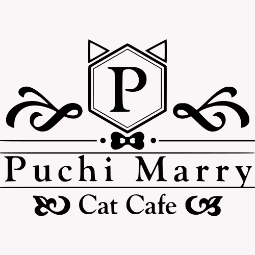 リスティング用に提出されたCat Cafe Puchi Marry AEON MALL Tsukuba猫カフェの写真