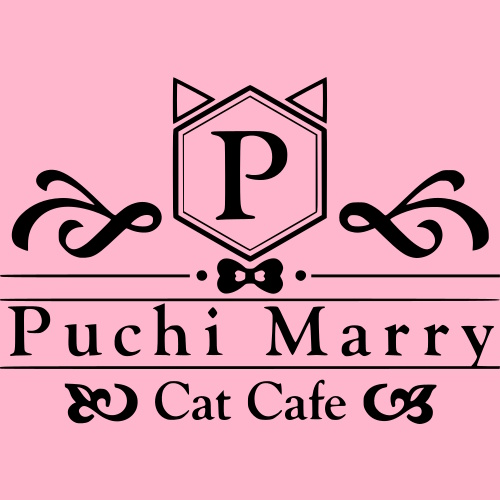 リスティング用に提出されたCat Cafe Puchi Marry Kyoto Kawaramachi猫カフェの写真