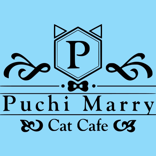 リスティング用に提出されたCat Cafe Puchi Marry Nagoya Osu猫カフェの写真