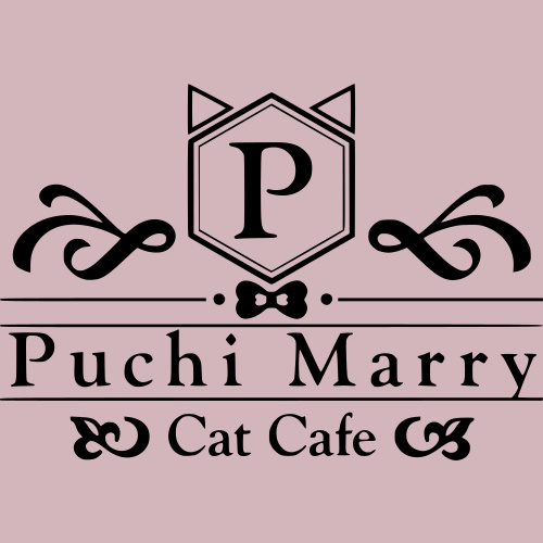 リスティング用に提出されたCat Cafe Puchi Marry Okinawa Chatan猫カフェの写真